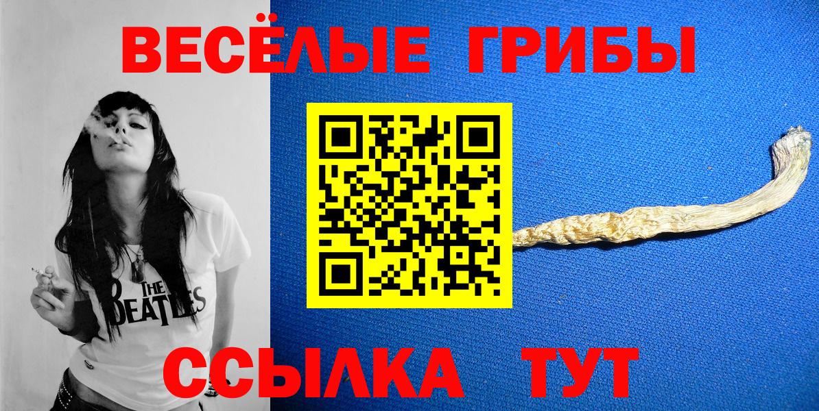 Галлюциногенные грибы Magic Shrooms Рубцовск
