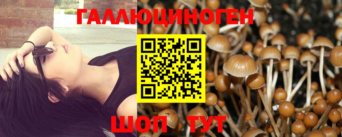 Галлюциногенные грибы MAGIC MUSHROOMS  цена наркотик  Рубцовск  Псилоцибиновые грибы мухоморы  Вход с VPN 